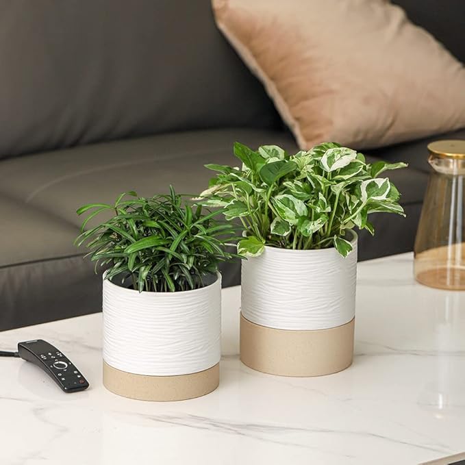 Nihow Self Watering Plant Pot: 6 Inch Ceramic Planter - Image 6