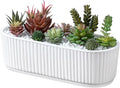 MyGift 12 Inch Ceramic Succulent Planter, Oval Matte White Planter Pot by MyGiftHome