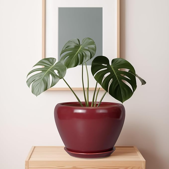 10 Inch Plant Pot - Image 7