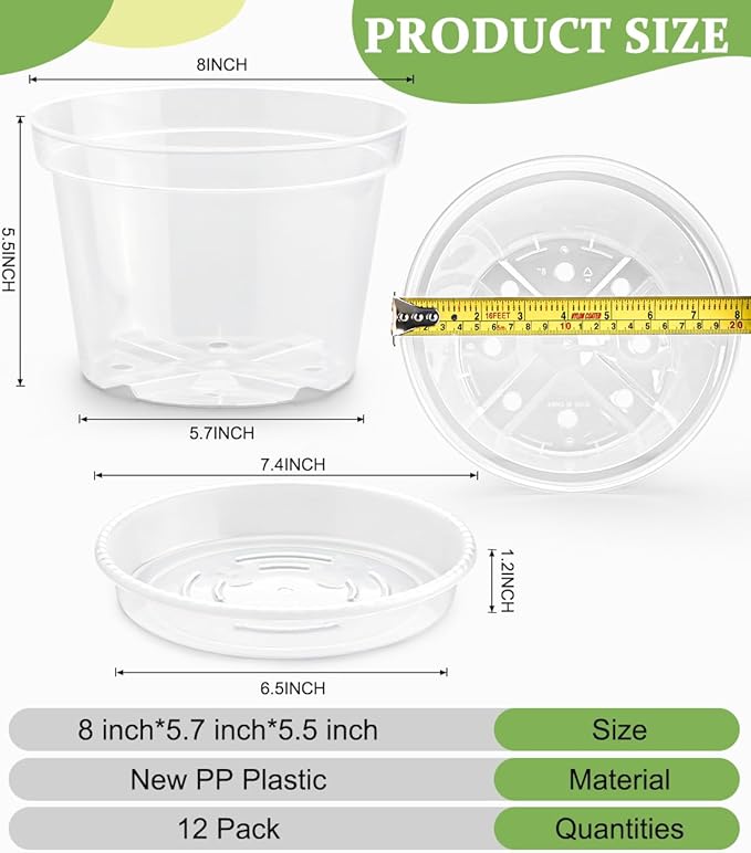 12 Pack 8 Inch Clear Plant Pots - Image 2