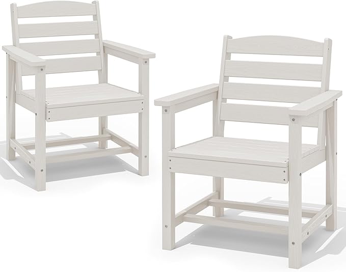 SERWALL Patio Dining Chair Set of 2 by SERWALL