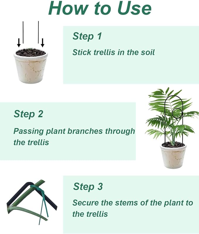 Small Plant Trellis for Climbing Plants Indoor - Image 7