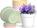 4 Inch Plastic Plant Pots with Drainage Holes and Trays – 8 Pack Small Nursery by WSMKSZ