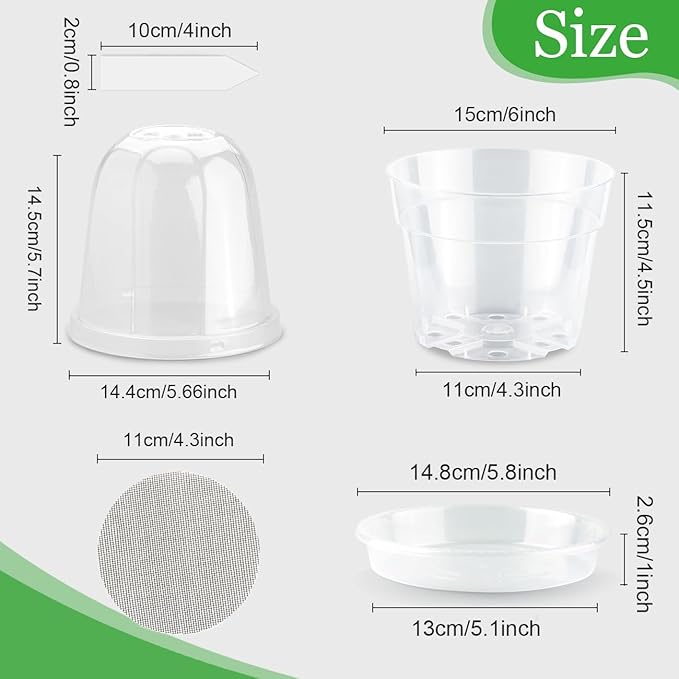 BTPLASTIK 6 Inch Clear Nursery Pots - Image 2