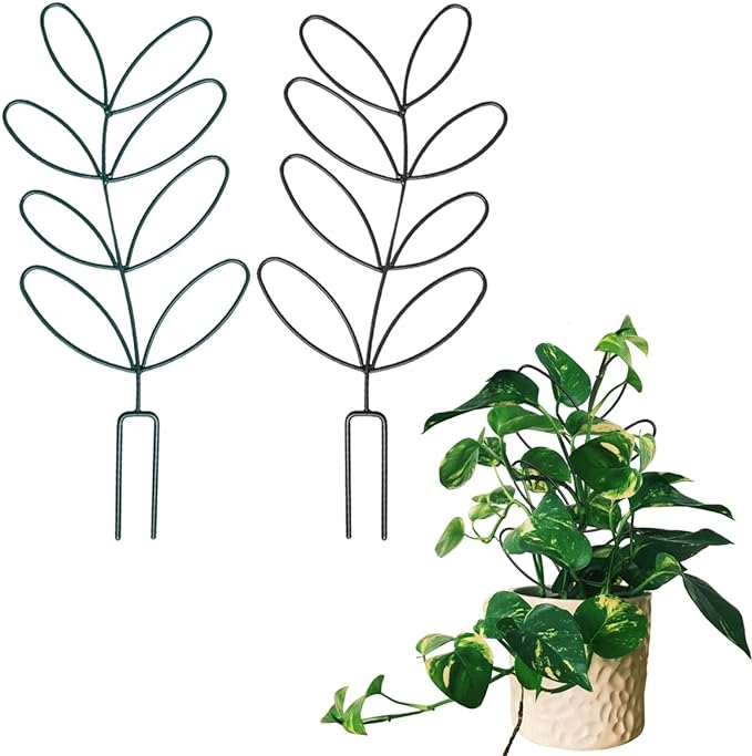 2Pack Indoor Plant Trellis Metal Wire Garden Trellis ，Small Climbing Leaf Shape by kvzvk