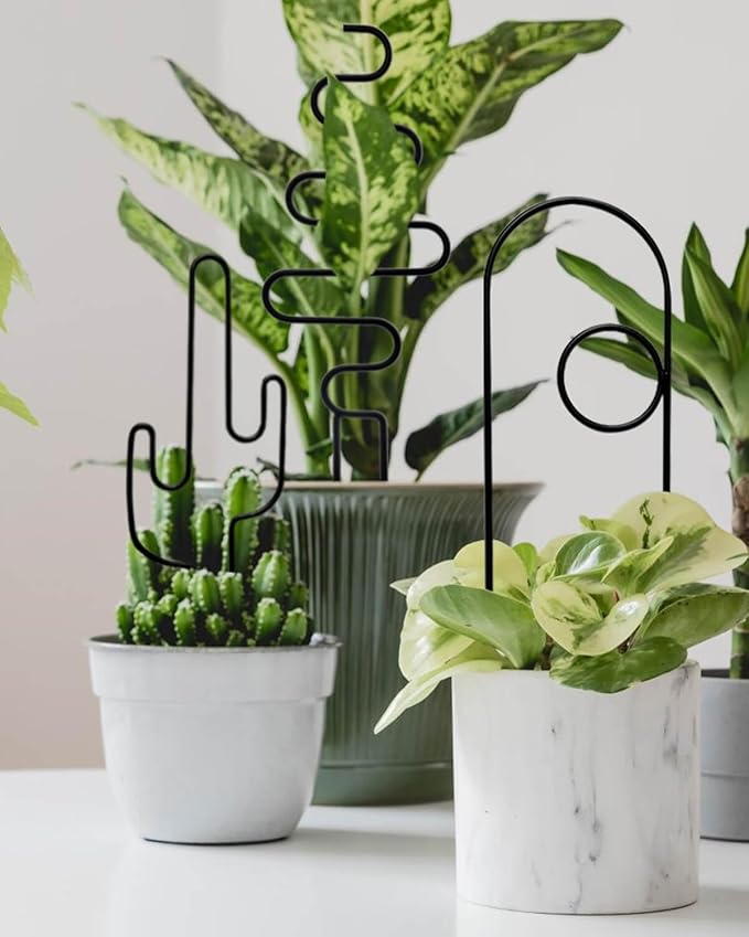 Small Plant Trellis for Climbing Plants Indoor - Image 3