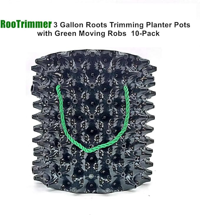 3 Gallon Air Pruning Container New Plastic Nursery Pot Fruit Vegetable Garden - Image 6