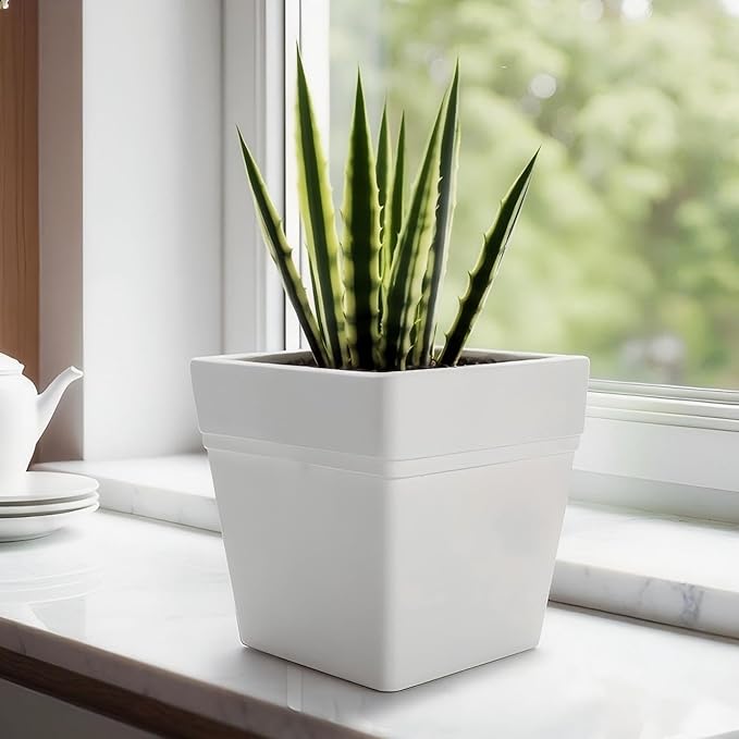6-Pack 7 Inch Square Planters - Image 9