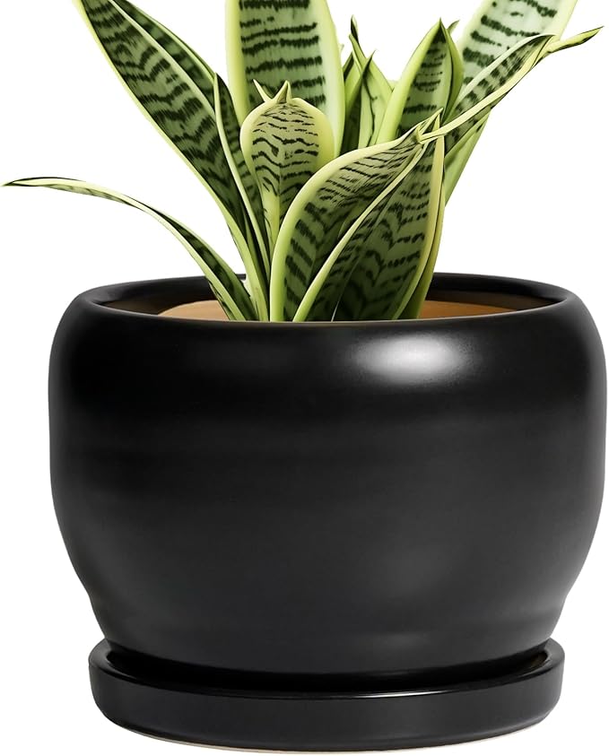 SQOWL Ceramic Plant Pot by SQOWL