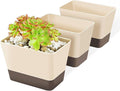 SUREAM Succulent Pots with Tray, 3 Pack 6 x3.8 Inch Herb Window Boxes Office by Suream