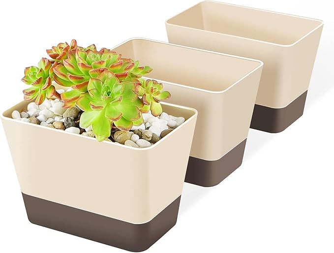 SUREAM Succulent Pots with Tray, 3 Pack 6 x3.8 Inch Herb Window Boxes Office by Suream