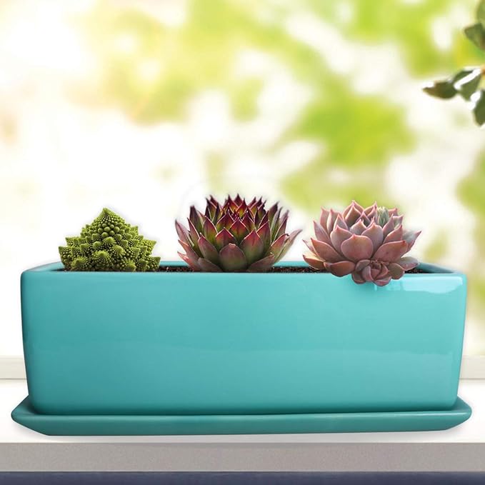 Vencer 12 Inch Rectangular Modern Minimalist Ceramic Succulent Planter Pot - Image 5
