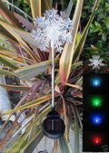 Solar Garden Stake Lights with Color Changing LED or Regular White LED by Ntertainment+House