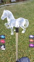 Solar Garden Stake Lights with Color Changing LED or Regular White LED by Ntertainment+House