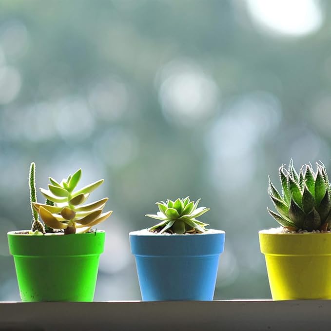 PURPLE STAR 1N 50 Packs Cupcake Plant Nursery Pots - Image 6