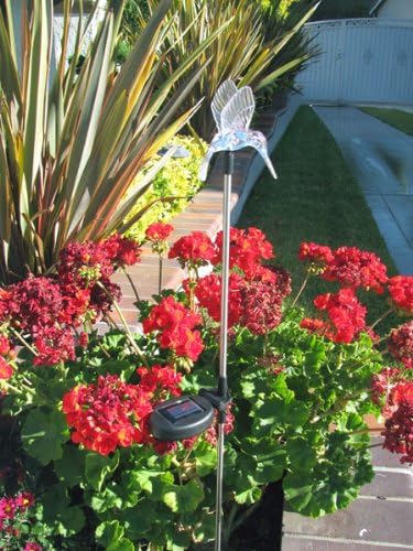 Solar Garden Stake Lights with Color Changing LED or Regular White LED by Ntertainment+House