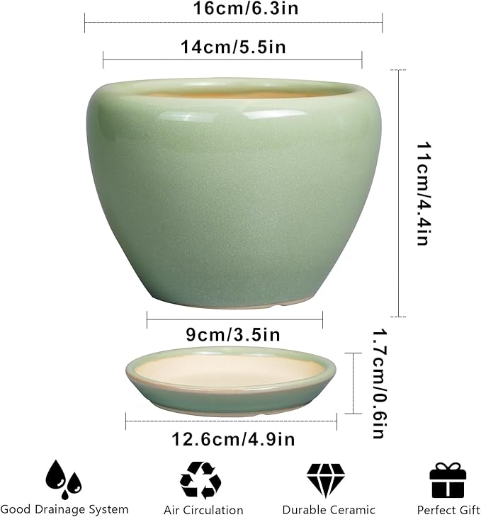 6 Inch Plant Pot - Image 3