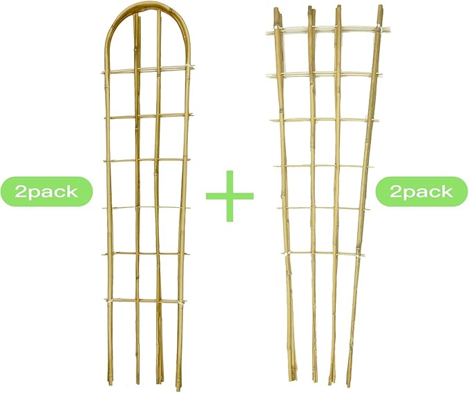 Natural Bamboo Trellis, Fan-Shaped+U-Shape, Plant Support Trellis - Image 3