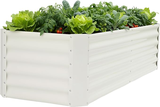 Galvanized Raised Garden Bed by BIRDSINYARD