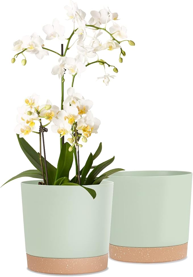 kubvici Indoor Plant Pots Set of 2 Planters 8 inch Plastic Planter by kubvici