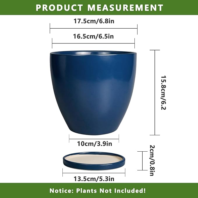 6.8 Inch Plant Pot - Image 3