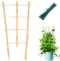 Plant Trellis Indoor, 3 Pack Bamboo Trellises, 16in Fan-Shaped Trellis by Cambaverd