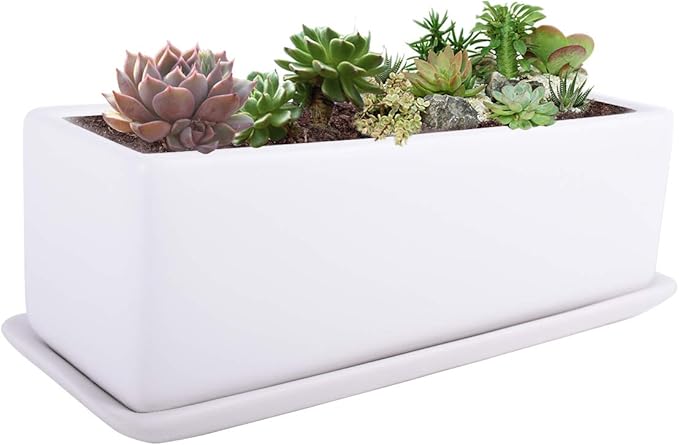 Vencer 12 Inch Rectangular Modern Minimalist Ceramic Succulent Planter Pot by Vencer