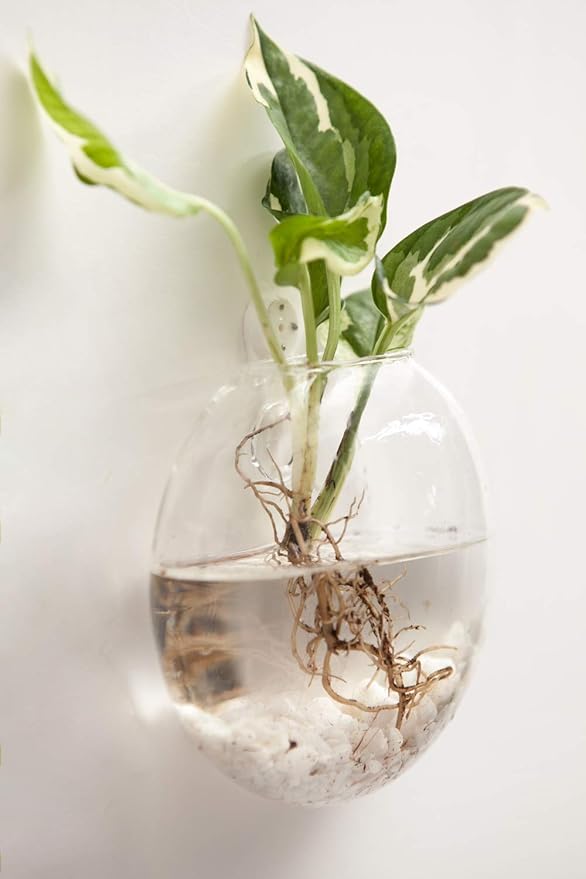 Mkono Wall Hanging Glass Terrariums Planter Oblate Flower Vase - Image 3