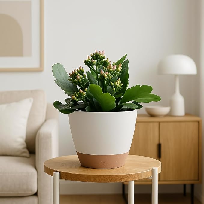 Plant Pots 12/10/9 inch Set of 3, Self Watering Flower Pots Indoor Outdoor - Image 5