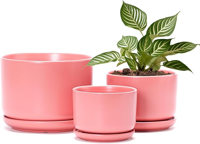 Ton Sin Ceramic Plant Pot with Drainage Hole and Saucer by TonSin