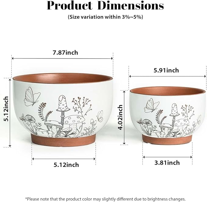 YBX 8 Inch & 6 Inch Terracotta Pots, Plant Pots, Flower Pots - Image 6