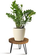 Plant Stand Indoor Outdoor Wood Mid Century Plant Stand by Welcometoobtain