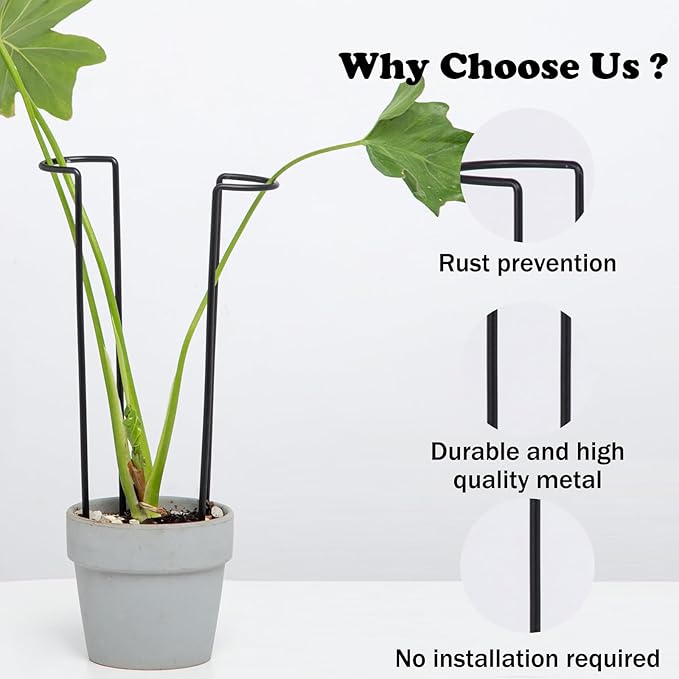 10-Pack Monstera Plant Support - Image 4
