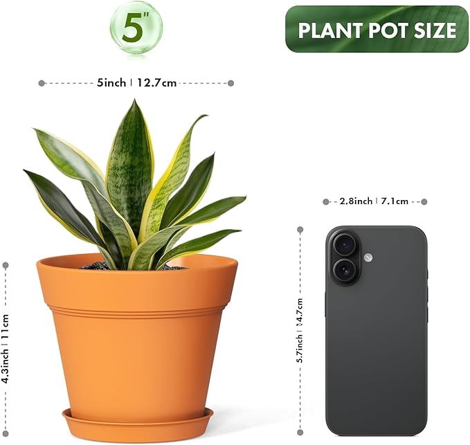 5 Inch Plastic Plant Pots with Drainage Holes and Trays – 6 Pack Small Nursery - Image 3