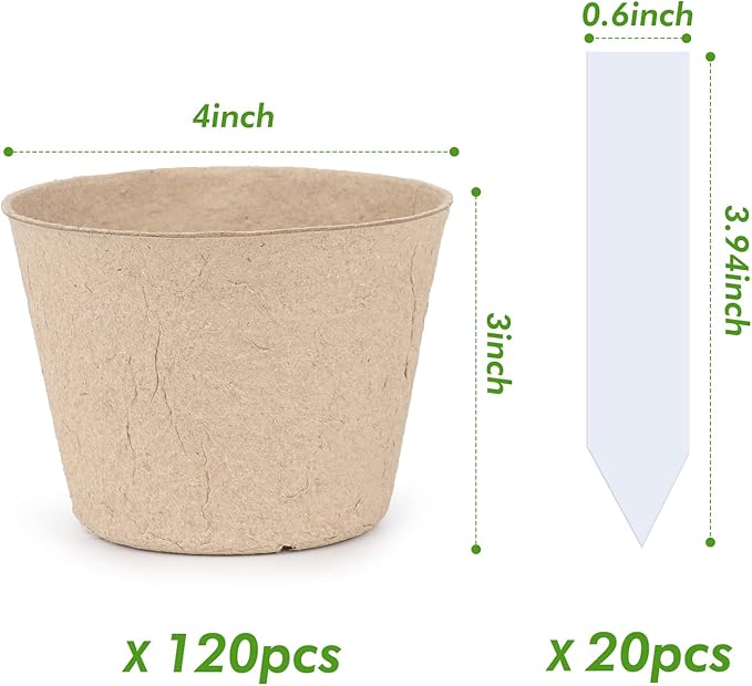 homenote Peat Pots - Image 4