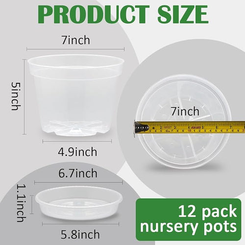 12 Pack 7 Inch Clear Nursery Pots - Image 2
