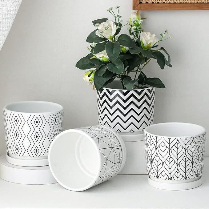 Ton Sin Plant Pots, 5.5 Inch White Pots - Image 7