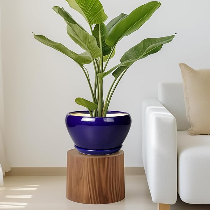 Ceramic Pot for Plants - Image 7