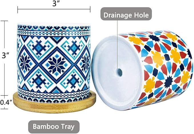 6 Pack Mandala Succulent Plant Pot - Image 3