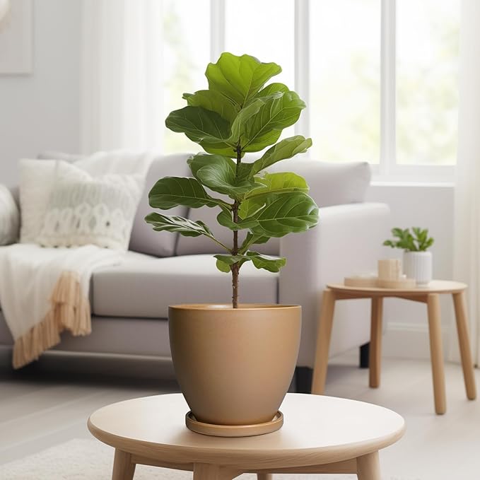 Ceramic Pots for Plants - Image 4