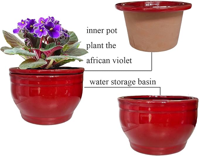 African Violet Pots Self Watering Round Ceramic Violet Pot - Image 6