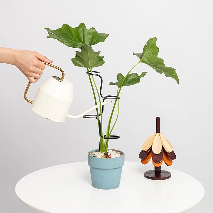 3PCS Indoor Plant Support Stakes - Image 6