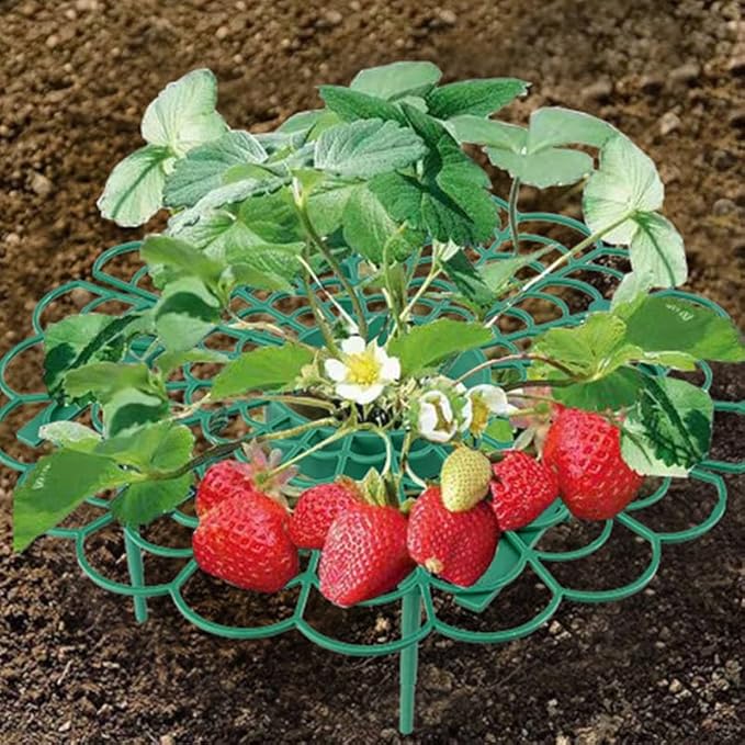 Comimark 12 PCS Grow Your Garden - Image 3