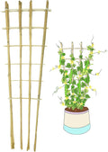 Natural Bamboo Trellis, Fan-Shaped Plant Support Trellis by GUANGYE
