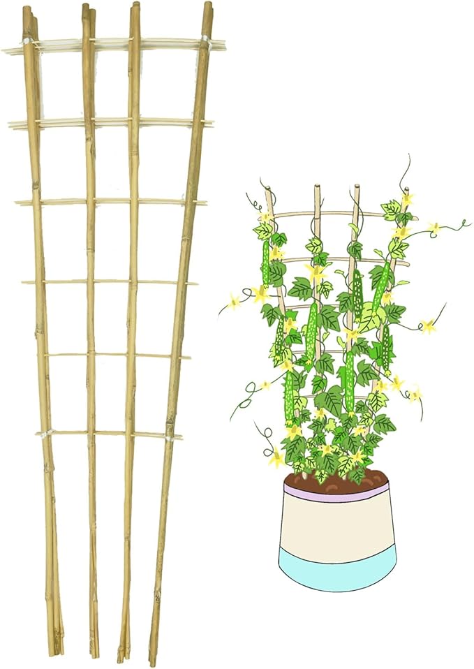 Natural Bamboo Trellis, Fan-Shaped Plant Support Trellis by GUANGYE