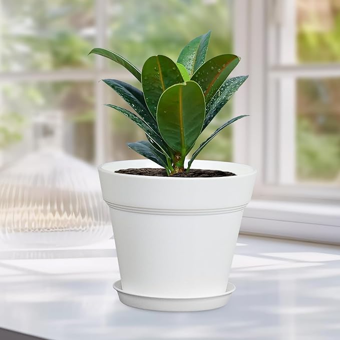 6 inch Plastic Nursery Pots, 16 Pack Plant Pots - Image 6