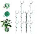 Stackable Monstera Moss Pole by Unknown