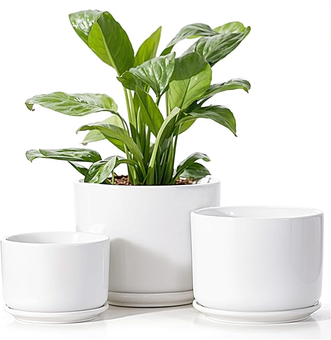 EFISPSS Plant Pots, 4+5+6 Inch Pots by EFISPSS