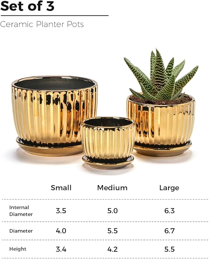 Ton Sin Gold Plant Pots, 4.1+5.1+6.5 Inch Ceramic Succulent Planters Set of 3 - Image 2