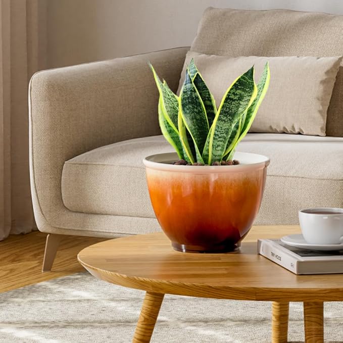 Plastic Plant Pots 8 Inch, 4 Piec Flower Pots - Image 6